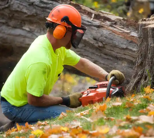 tree services Rocky Boy's Agency